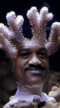 Man Ai GIF