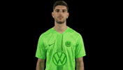 Happy Celebration GIF by VfL Wolfsburg