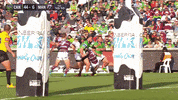 GIF by Canberra Raiders