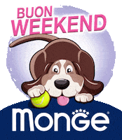 Weekend Pet Sticker by Mongepet