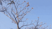 Art Film GIF by jorgemariozuleta