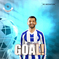 Voetbalvereniging_Scherpenzeel goal win score voetbal GIF