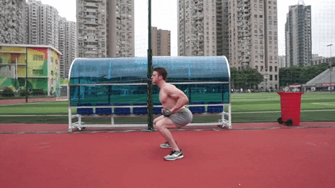 setforset giphygifmaker GIF