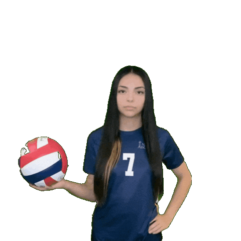 Womens Volleyball Sticker by Clarke University