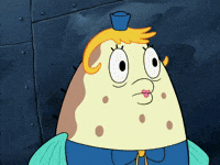 season 6 penny foolish GIF by SpongeBob SquarePants