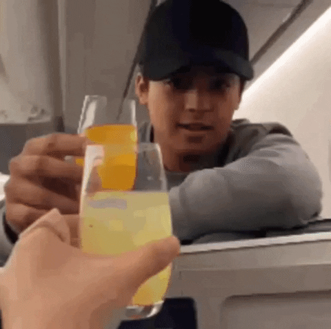 keidilexer drink cheers airplane flight GIF