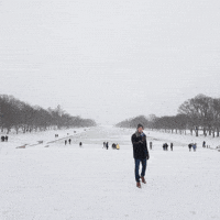 Education Voting GIF by PBS