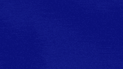 Flowers Be Nice GIF by Jeopardy!