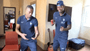 fun pogba GIF by Equipe de France de Football