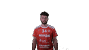 Handball Vtb Sticker by SG VTB/Altjührden