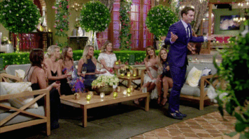 thebachelorau the bachelor au the bachelor australia GIF