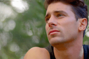 thebachelorau the bachelor au the bachelor australia GIF