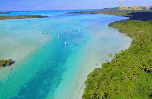 bachelorau GIF by The Bachelor Australia