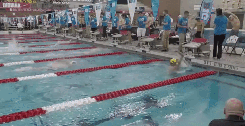 GIF by Michigan Athletics