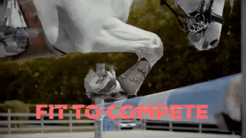 EQUIDEO giphygifmaker jumping horses horselovers GIF