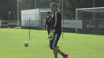 celebrate come on GIF by MiSelecciónMX