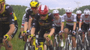 Jonas Vingegaard GIF by Amaury Sport Organisation
