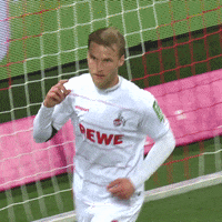 1 Fc Cologne Football GIF by 1. FC Köln