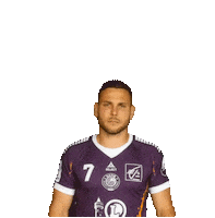 Celebrate Sticker by Sélestat Alsace Handball