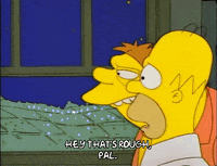 Season 1 Episode 10 GIF by The Simpsons