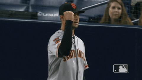 regular season sport GIF by MLB