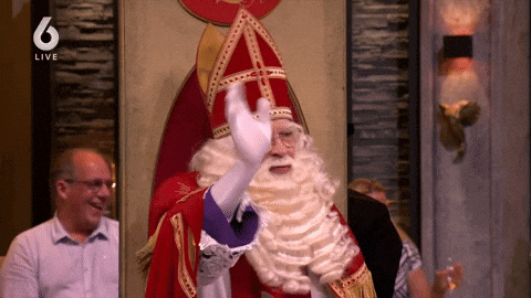 Sinterklaas GIF by Vandaag Inside