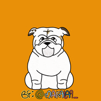 English Bulldog Dog GIF