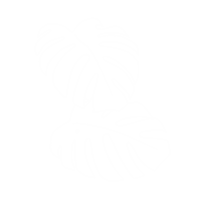 jonasnienhaus art plant plants garden Sticker