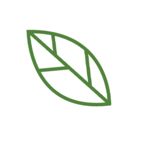 circly nature plant leaf leaves GIF