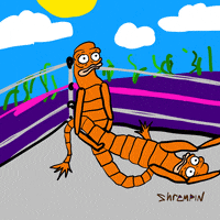 Adult Swim Fight GIF by shremps