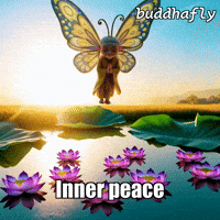 Peace Butterfly GIF by BuddhaFlyJourney