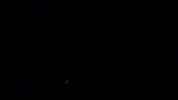 Veracruz Lights On GIF by ABJ Halcones