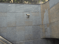 Montauk Project Augmented Reality GIF by Komplex