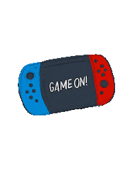 Nintendo Switch Sticker