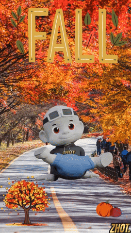 Pumpkin Spice Fall GIF by Zhot