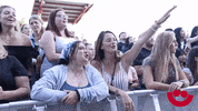 Music Festival Dancing GIF by Summerfest