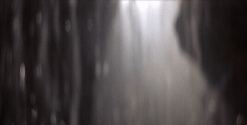 wife want GIF