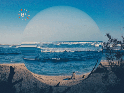 Germany Wow GIF by FranchiseCHECK.de