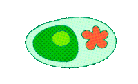 Bacteria Petri Dish Sticker by jadecsmith