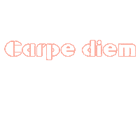 chasingcarpediem travel holiday airplane viajar Sticker