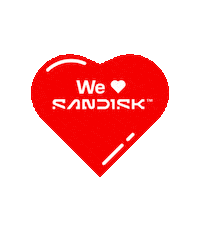 Flash Sticker by Sandisk