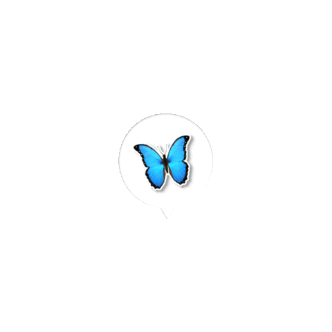 elistorycriativo borboleta borboletas sticker butterfly sticker borboleta Sticker