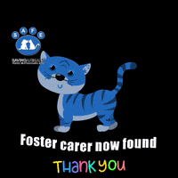 Thank You GIF by SAFE Inc