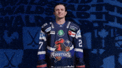 Celebration Hockey GIF by Iserlohn Roosters