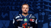 Goal Hockey GIF by Iserlohn Roosters