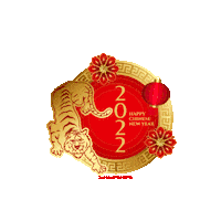 Happy New Year Festival Sticker by 360 Tour Toronto