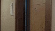 Mood Reaction GIF by Show TV