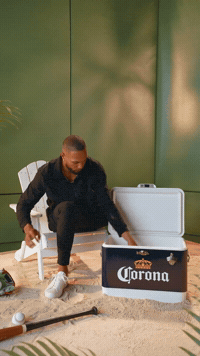 Phillies GIF by Corona USA