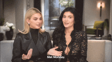 Kendall Jenner GIF by HULU