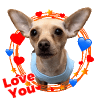 In Love Thank You Sticker by Pimp Yo Pets